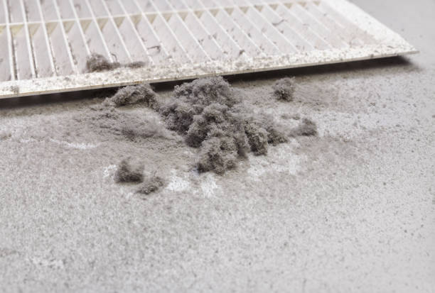 Best HVAC System Cleaning  in Plantation, FL