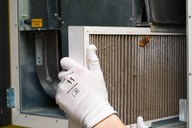Best Affordable Air Duct Cleaning  in Plantation, FL