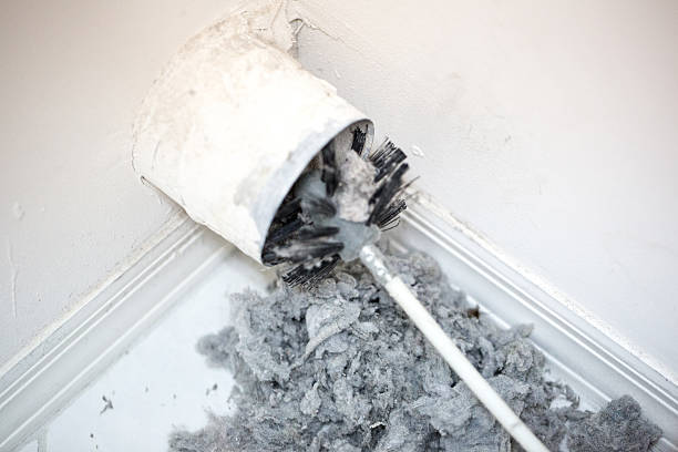 Best Professional Duct Cleaning Services  in Plantation, FL